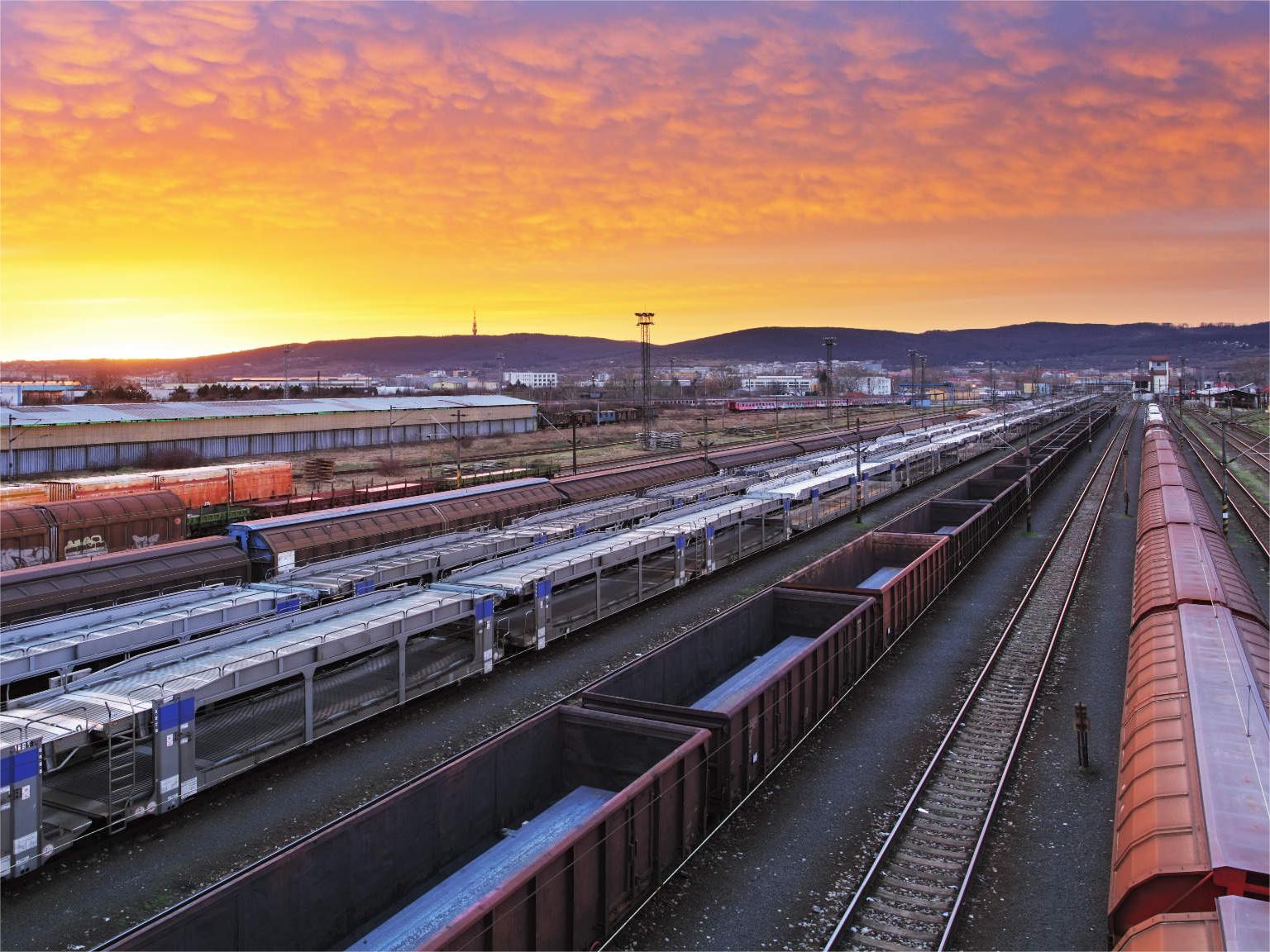 Logistics professional managing supply chain data